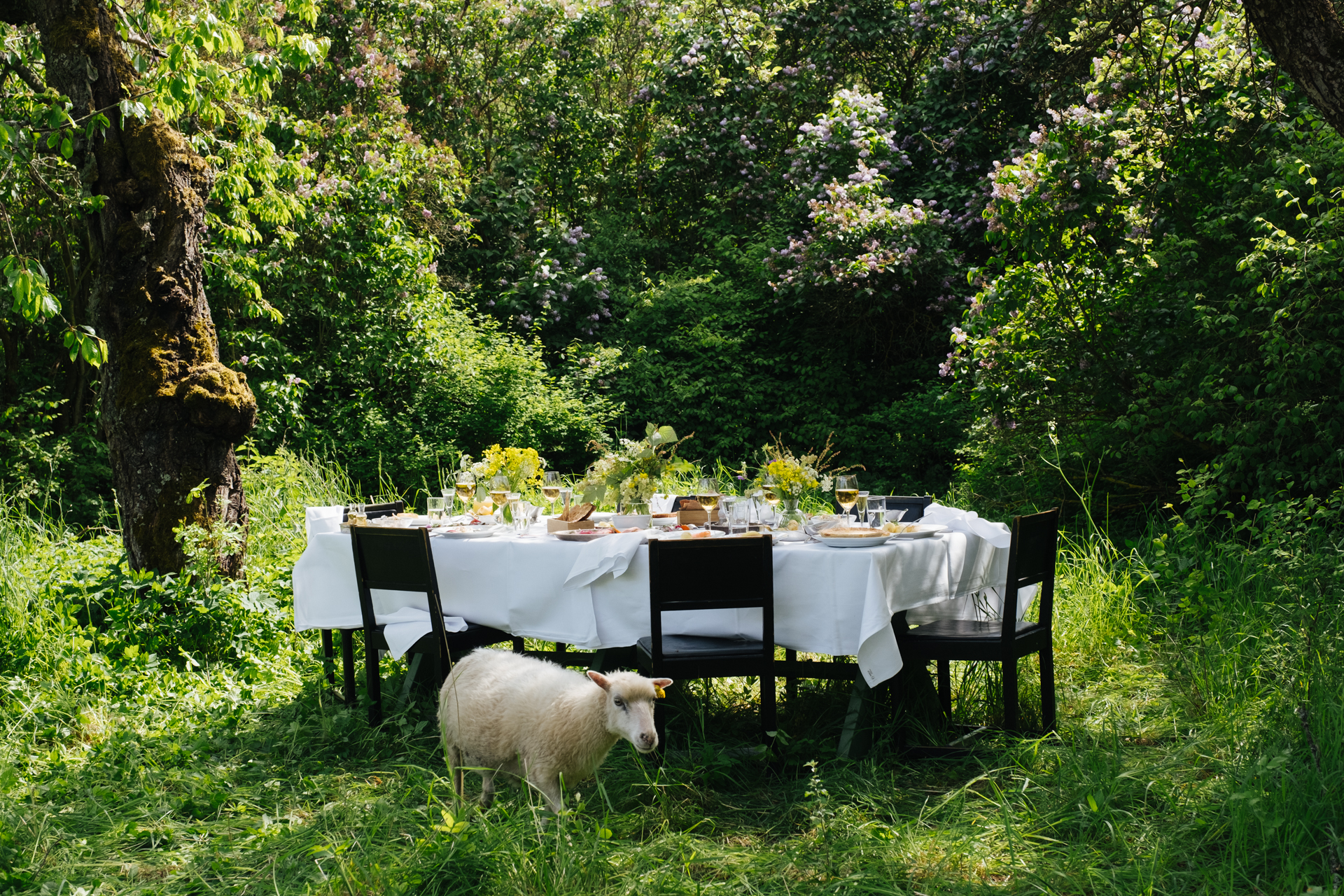 midsommar