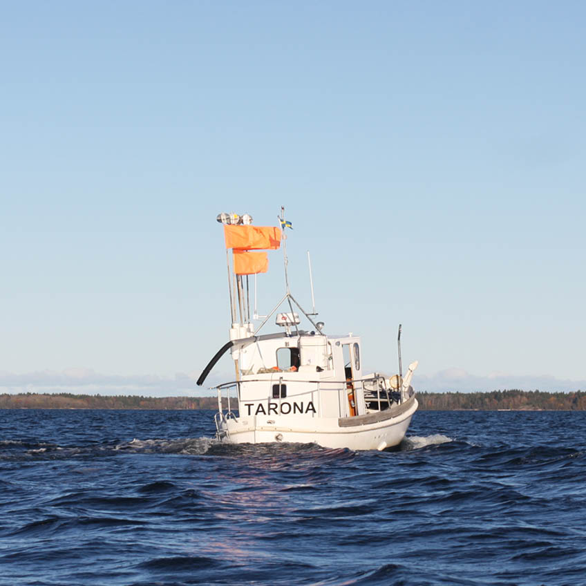 skårgårdsdagarna